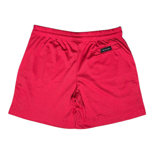 CHILD OF VNVRCHY MESH SHORTS